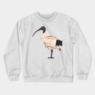 Bin Chook otherwise known as the White Australian Ibis. Unique/original artwork Crewneck Sweatshirt